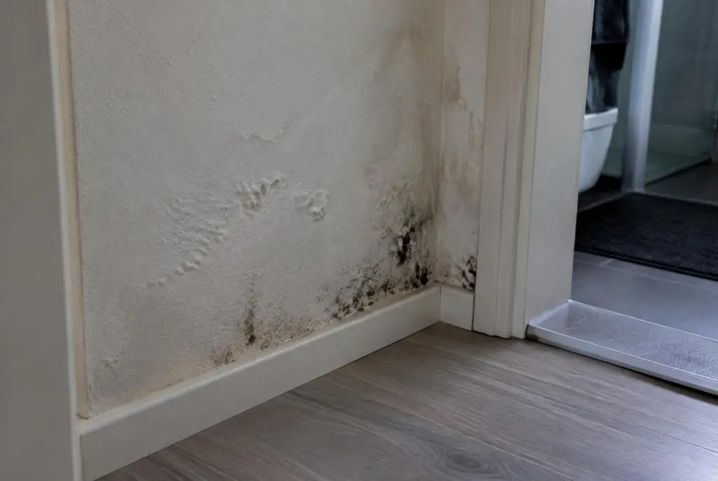 Lekdetectie Zutphen – vochtplek met schimmel op een muur